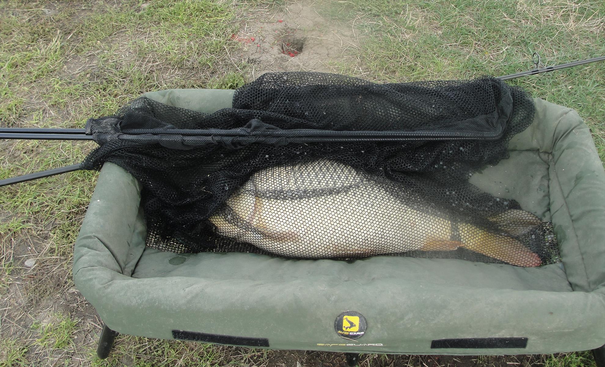 Moara Vlasiei 2 21 - 22 sep. - dsc02608.JPG